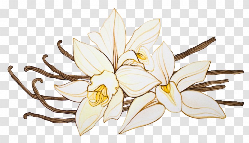 Vanilla Orchids Aroma Hot Chocolate Flower - Floral Design Transparent PNG