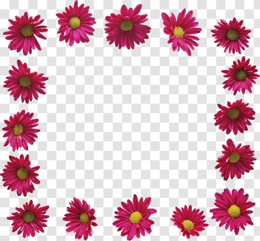 Flower Picture Frames Garden Roses Photography Clip Art - Petal - Chrysanthemum Transparent PNG