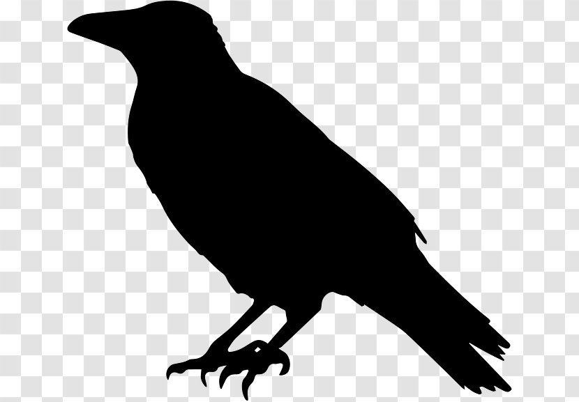 Common Raven Crow Clip Art - Thumbnail Transparent PNG