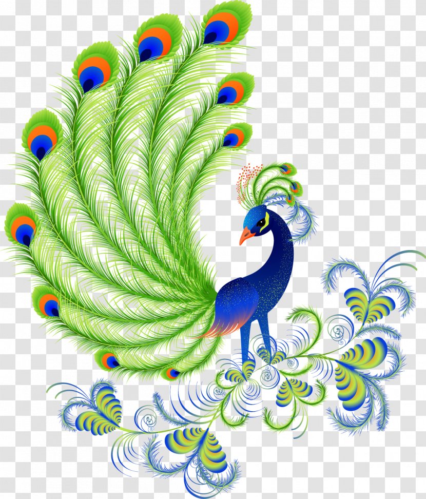 Peafowls, Peacocks And Peahens. Including Facts Information About Blue, White, Indian Green Peacocks. Breeding, Owning, Keeping Raising Peafowls Or Covered. Bird Feather Clip Art - Wing - Peacock Transparent PNG