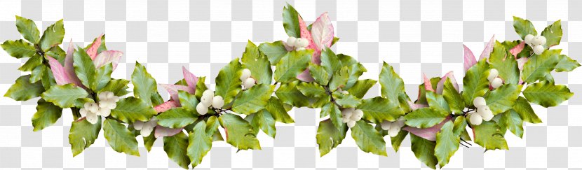 Garland Flower Christmas Clip Art - Plant - HOLLY Transparent PNG