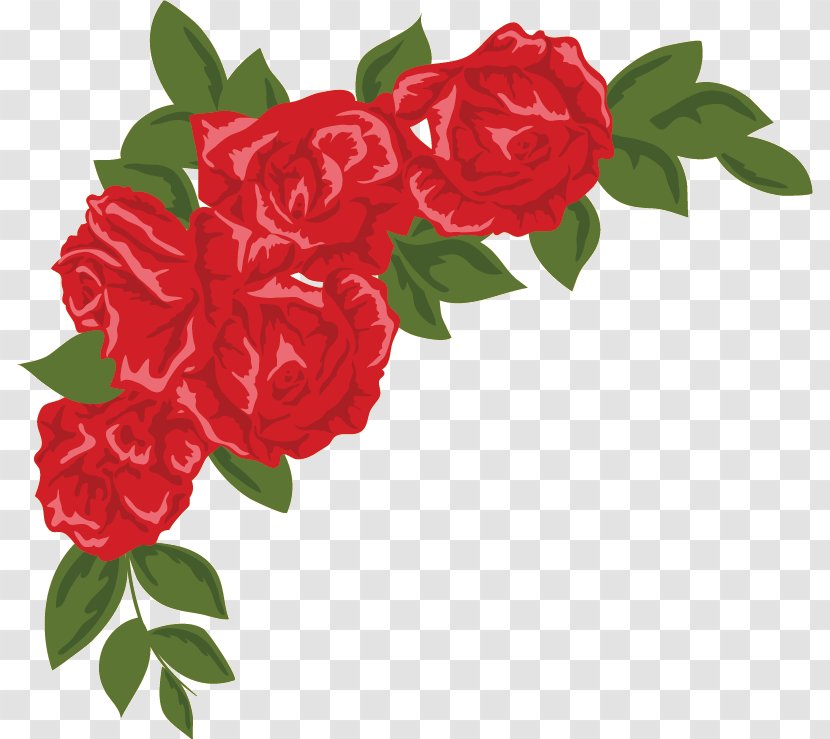 Garden Roses Drawing Cabbage Rose Floribunda - Cut Flowers - Red Corner Transparent PNG