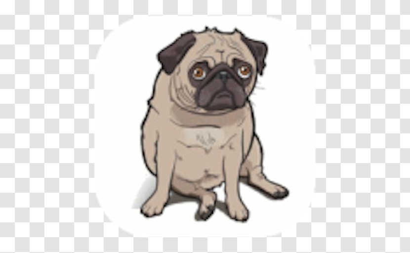 Puggle Puppy Dog Breed Companion Transparent PNG
