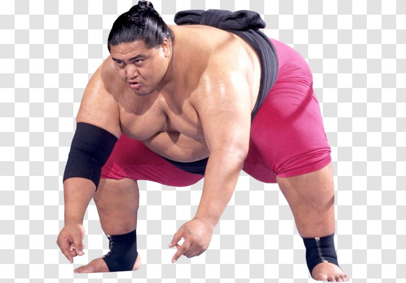 Yokozuna Professional Wrestler Wrestling Royal Rumble Sumo - Cartoon Transparent PNG