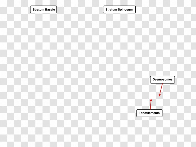 Document Line Angle - Multimedia - Design Transparent PNG