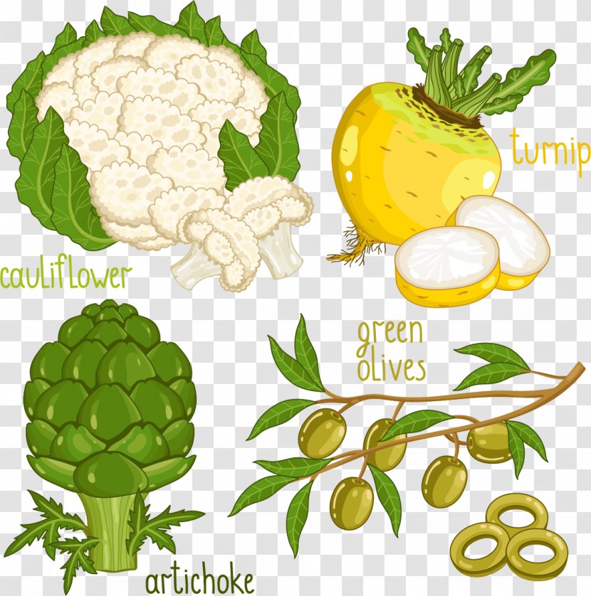 Vegetable Food Illustration - Pumpkin - Cauliflower Transparent PNG