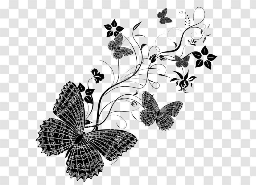 Monarch Butterfly Vector Graphics Illustration Image Transparent PNG