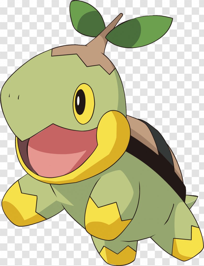 Background Green - Sinnoh - Turtle Tortoise Transparent PNG