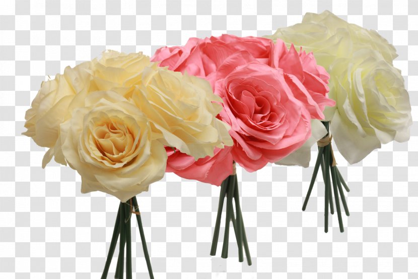 Garden Roses Cabbage Rose Floral Design Cut Flowers - Petal - Benjamin Franklin Day Transparent PNG