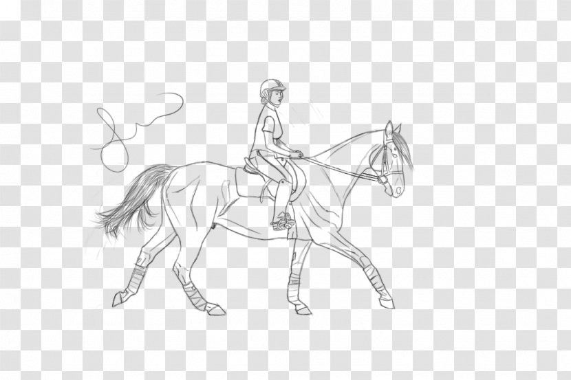 Horse Stallion Bridle Pony Art - Figure Drawing Transparent PNG