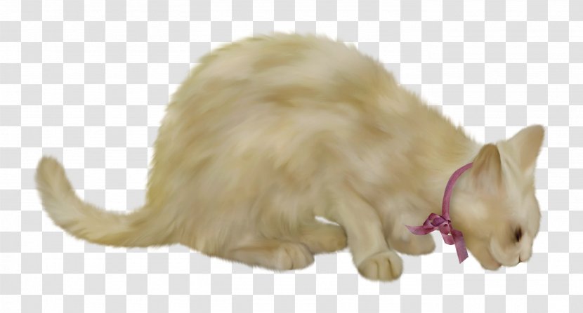 Whiskers Cat Mouse - Gratis - Cute Transparent PNG