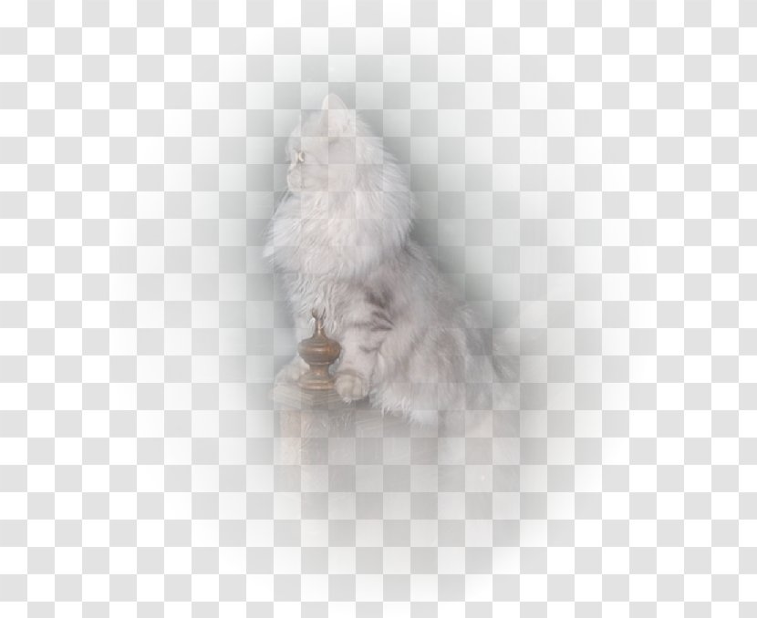 Cat Dog Canidae Carnivora Fur - Smokies Transparent PNG