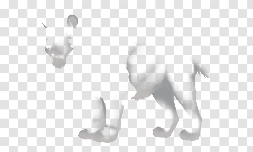 Cat Ear Dog Canidae White - Flower - Pride Of Lions Transparent PNG