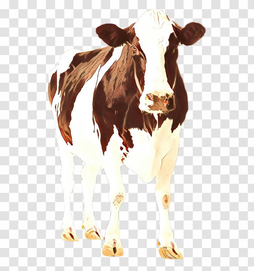 Holstein Friesian Cattle Calf Dairy Highland Jersey - Pasture Transparent PNG