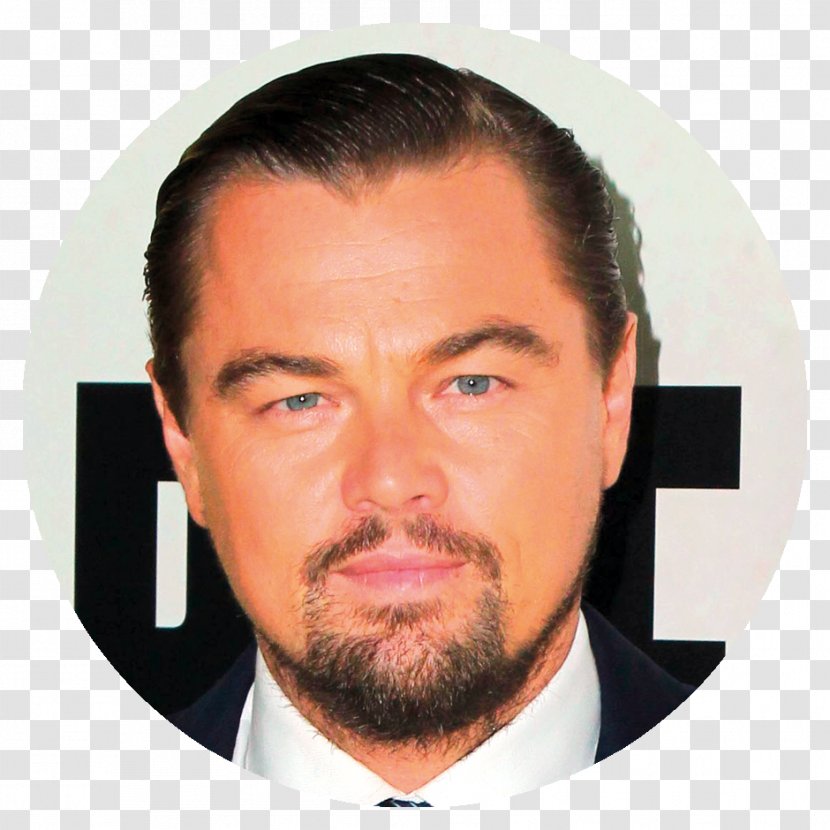 Leonardo DiCaprio Django Unchained Calvin Candie Actor Film Producer - Jaw Transparent PNG