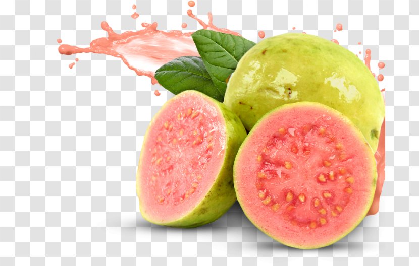 Common Guava Juice Tropical Fruit Transparent PNG