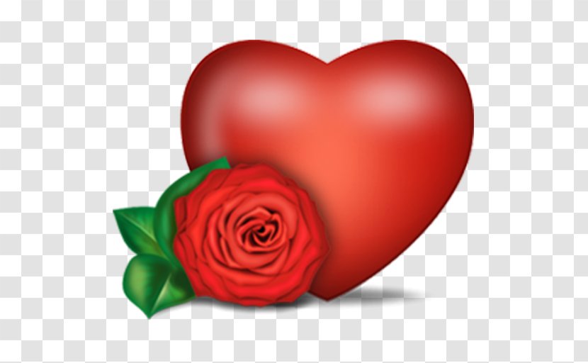 Rose Heart Clip Art - Flower Transparent PNG
