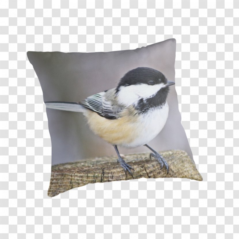 Throw Pillows Cushion Wren Beak - Pillow Transparent PNG