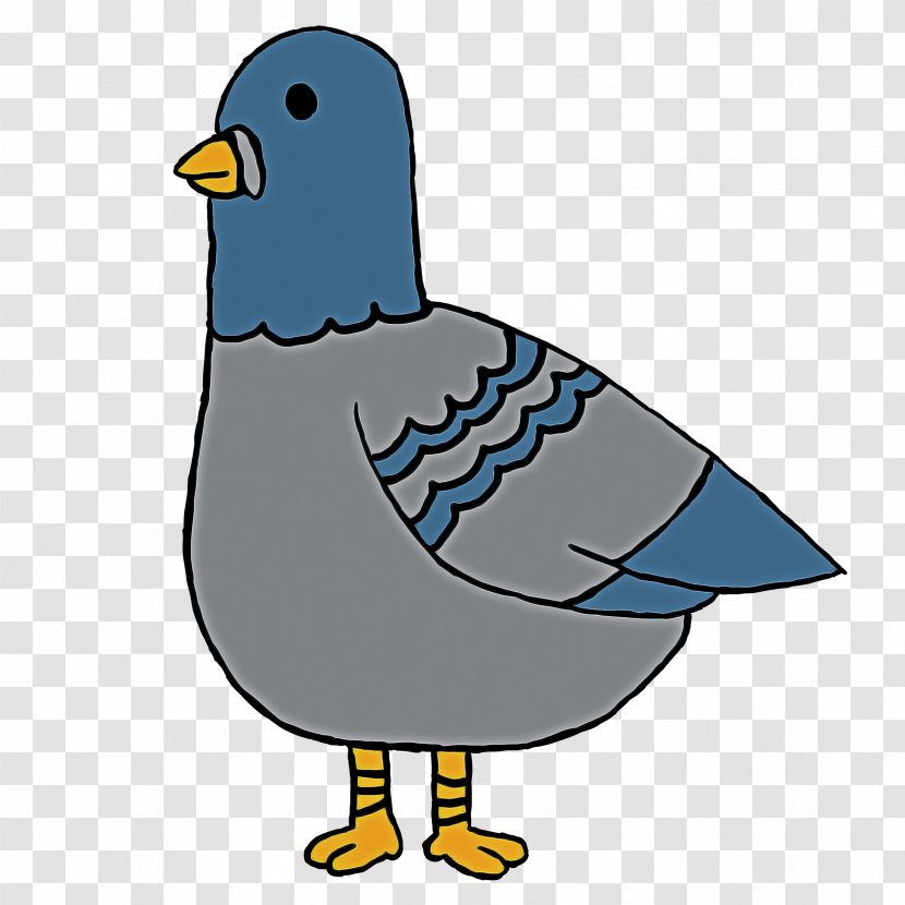 Bird Beak Pigeons And Doves Rock Dove Clip Art Transparent PNG