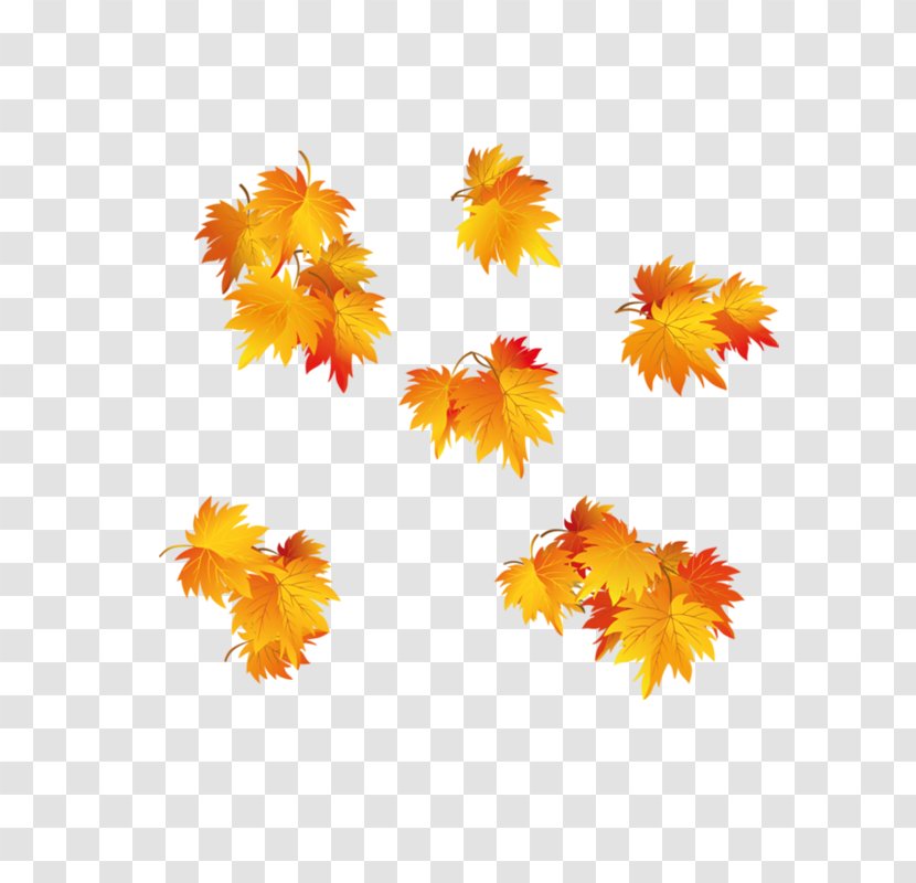 Autumn Leaf Clip Art - Orange - Gold Maple Transparent PNG