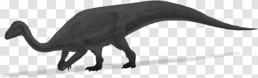 Cat Mussaurus Plateosaurus Dinosaur Sauropoda - Juvenile Transparent PNG
