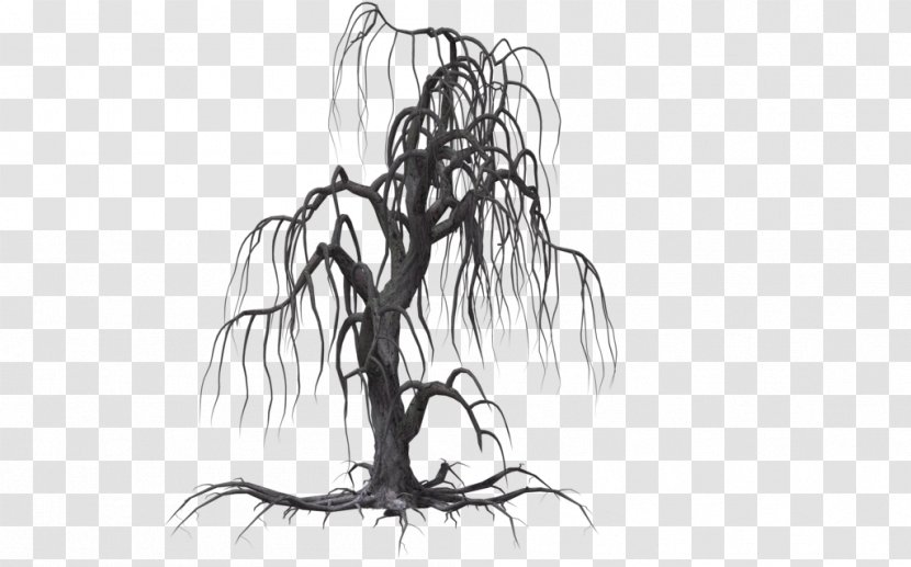 Tree Drawing Willow Clip Art - Creepy Transparent PNG