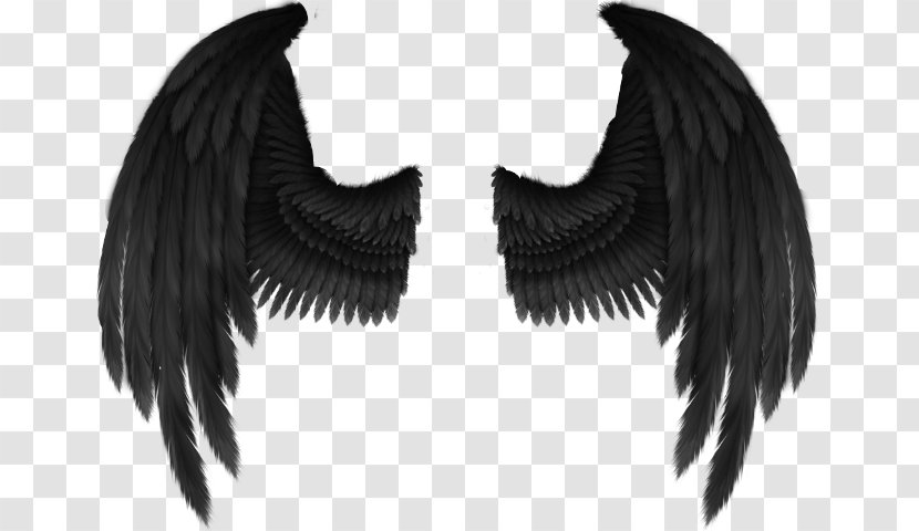Cherub Angel Wing Fantasy - Shoulder Transparent PNG