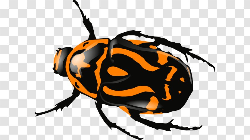 Beetle Download Clip Art - Free Content - Orange Bug Cliparts Transparent PNG