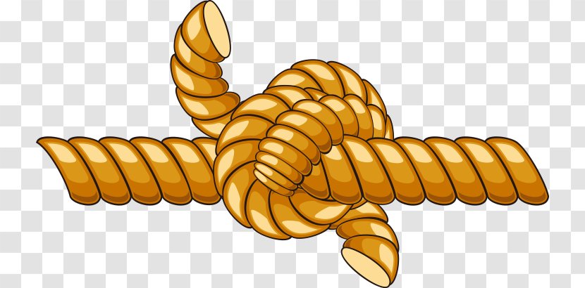Rope Knot Cartoon - Necktie - Rope,rope Transparent PNG
