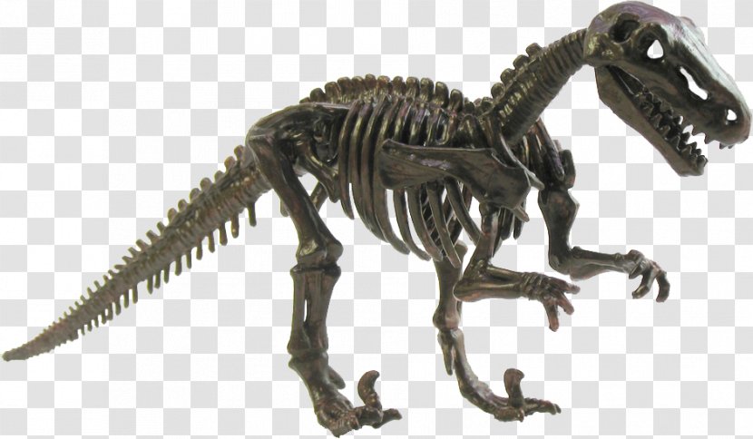 Plateosaurus Tyrannosaurus Meat-Eating Dinosaurs Abydosaurus - Dinosaur Transparent PNG