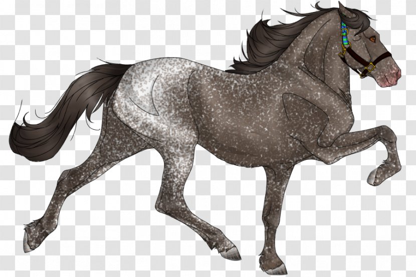 Mane Mustang Stallion Mare Pony - Saddle Transparent PNG