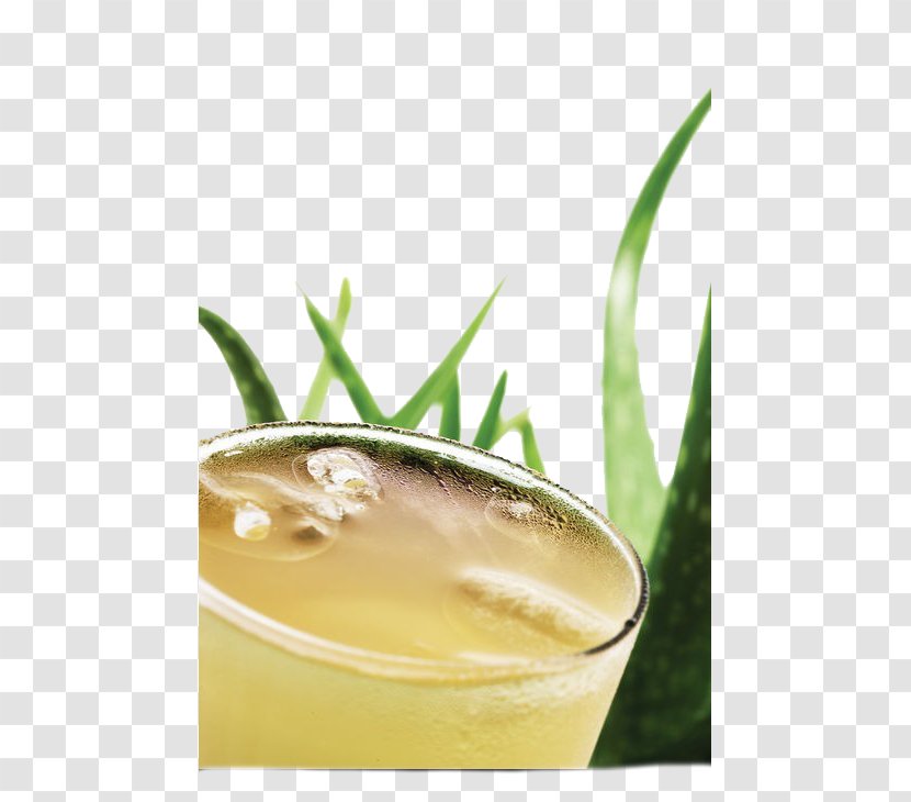 Aloe Vera Juice Gelatin Dessert - Bottle - Gel Transparent PNG