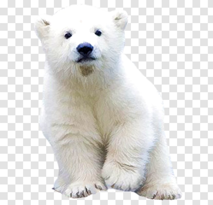 Polar Bear Clip Art - Heart Transparent PNG