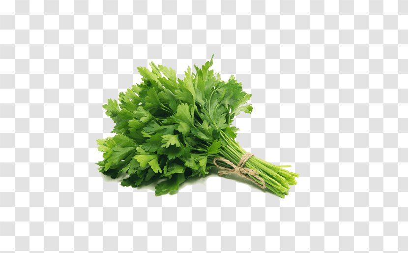 Dish Herb Parsley Root Vegetable Food - Ingredient Transparent PNG