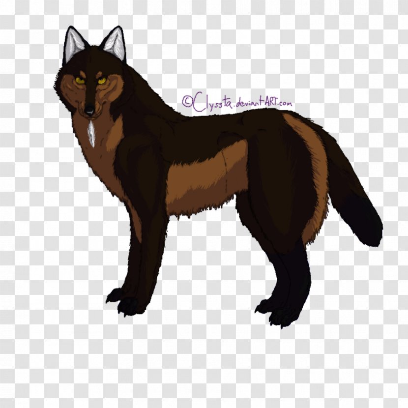 Whiskers Cat Red Fox Fur Terrestrial Animal - Like Mammal Transparent PNG