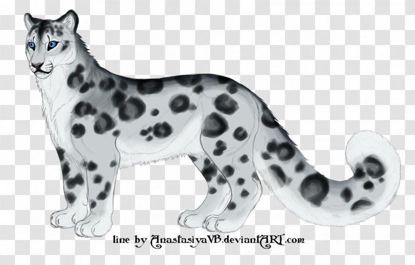 Whiskers Snow Leopard Cat Dog Breed - Small To Medium Sized Cats Transparent PNG