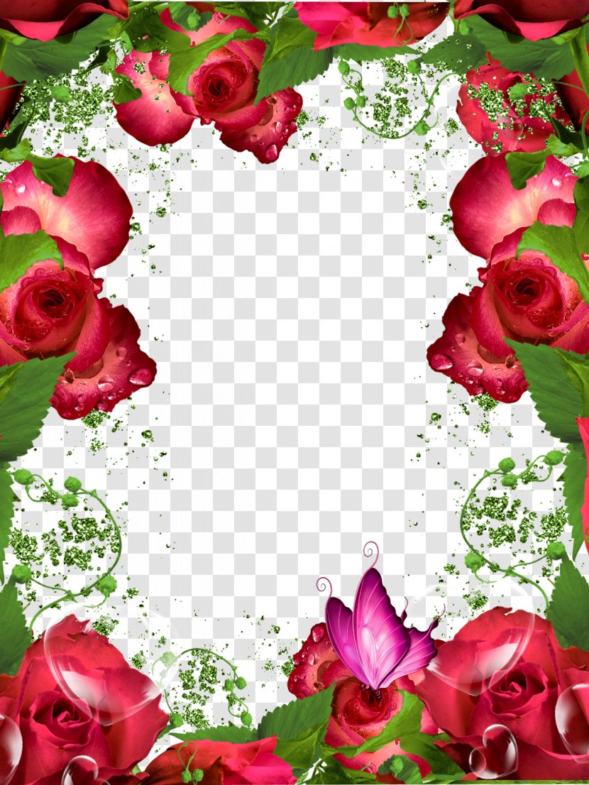 Picture Frame Garden Roses Clip Art - Hq Cliparts Transparent PNG