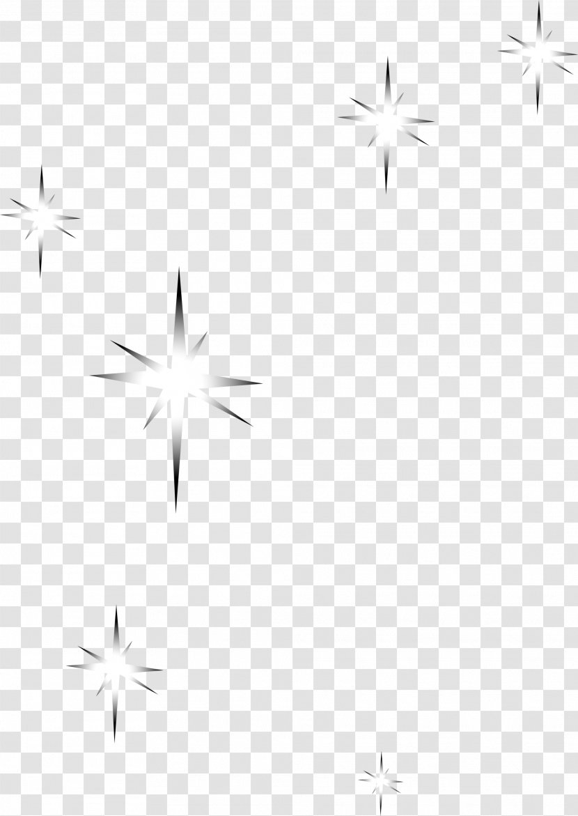 Petal White Leaf Pattern - Text - Fresh Stars Transparent PNG