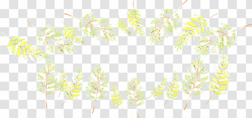 Green Leaf Background - Closeup - Plant Transparent PNG