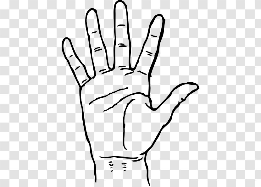 Coloring Book Hand Palm Finger Drawing - Silhouette - Drawn Color Transparent PNG