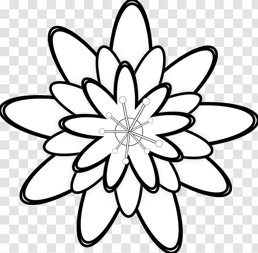 Black And White Flower - Photography - BUNGA Transparent PNG