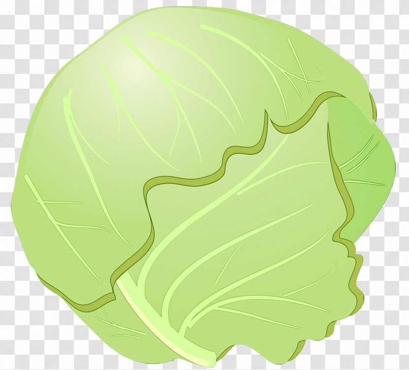 Green Cabbage Leaf Wild Cruciferous Vegetables - Vegetable - Food Plant Transparent PNG
