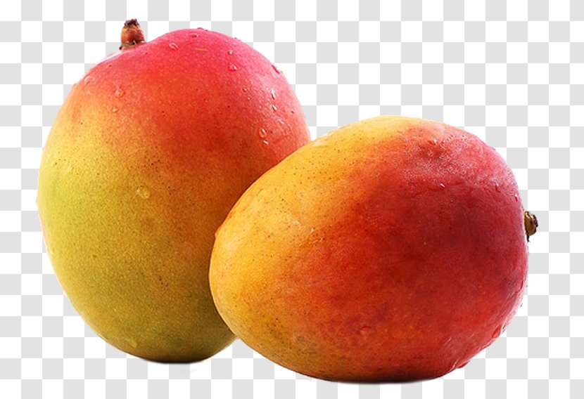 Mango Fruit - Data - Frutas Transparent PNG