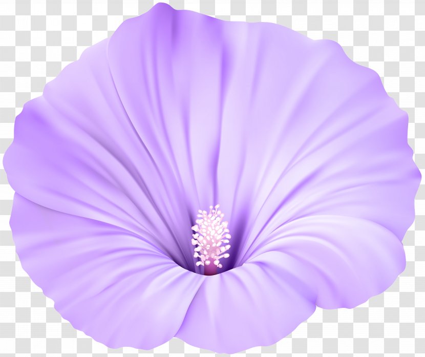 Violet Flower Clip Art - Transparent Transparent PNG