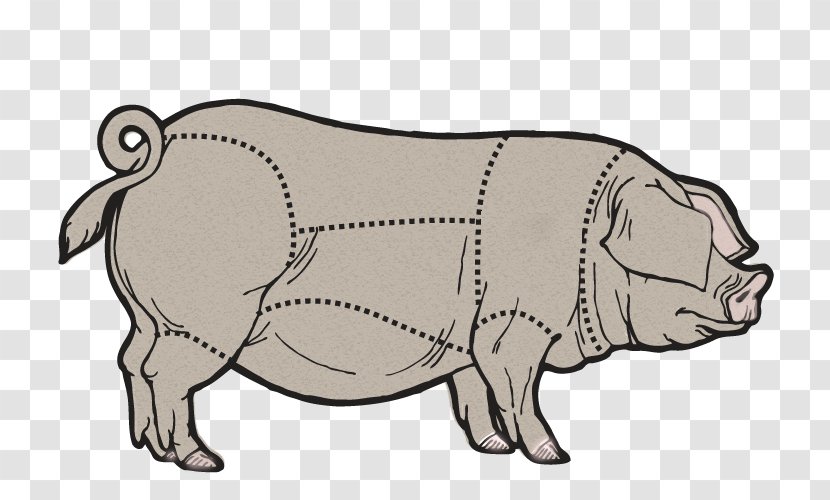 Domestic Pig Cattle Cut Of Pork - Livestock Transparent PNG