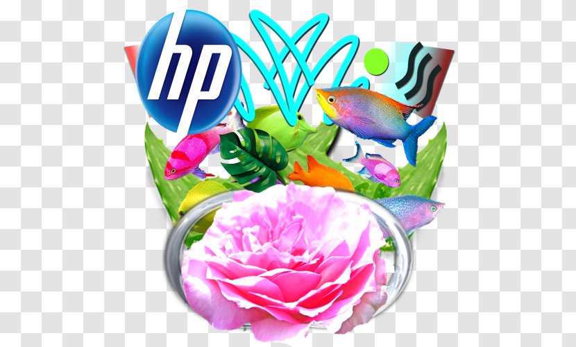 Garden Roses Hewlett-Packard Cut Flowers Floral Design - Flower Bouquet - Hewlett-packard Transparent PNG
