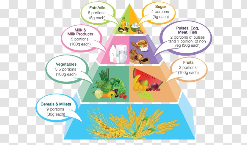Food Pyramid Vegetarian Cuisine Pregnancy Healthy Eating - Diagram - Nutritional Transparent PNG