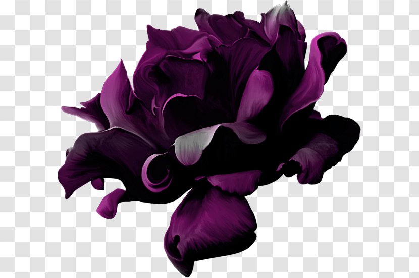 Purple Violet Flower - Designer Transparent PNG