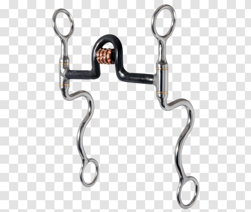 Snaffle Bit Horse Curb Stainless Steel - Human Mouth Transparent PNG
