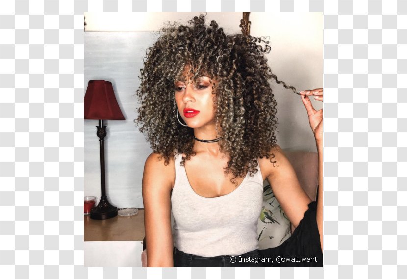 Afro Long Hair Coloring Hairstyle - Cabelo Transparent PNG